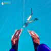 Freediving Seychelles - Image 2