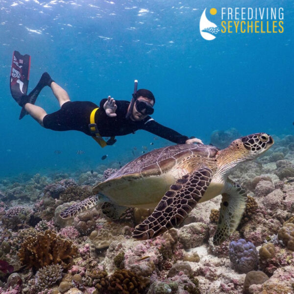 Freediving Seychelles